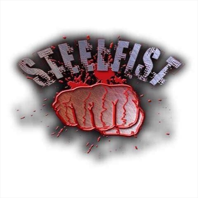 SFFN - SteelFist Fight Night 1