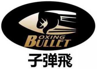 BFFC Title - Bullets Fly Fighting Championship 5