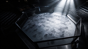 The UFC's Next Flyweight Civil War: Why Blachowicz's Cut and the Women's 125 Booking Pattern Reveal the Promotion's Desperate Scramble to Fill 2025's Thinnest Divisions
