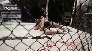 MMA Betting Guide