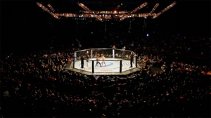 How to Analyze MMA Fighter Form to Win Your Bets (And How AI Helps)