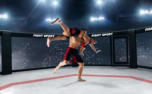 Risk, Strategy, and Self-Control: Parallels Between MMA and Pin Up Casino App