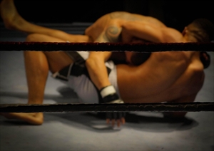 What are the best sportsbooks for betting on MMA in 2025?