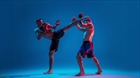 How Smart MMA Fans Use Data Analytics for Accurate Fight Predictions