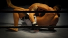 Inside an MMA Champion's Head: Mental Strategies That Help Them Win Battles