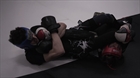 MMA Training Secrets: What It Takes to Become a Champion