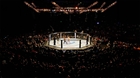 How to Analyze MMA Fighter Form to Win Your Bets (And How AI Helps)