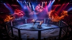 The Best MMA Knockouts and Submissions From 2016 to 2025