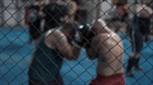 What to Know About MMA Odds Before Fight Night