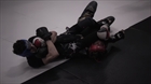 October MMA Betting Lines: Key Fights and Markets to Follow