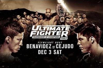 UFC - The Ultimate Fighter 24 Finale