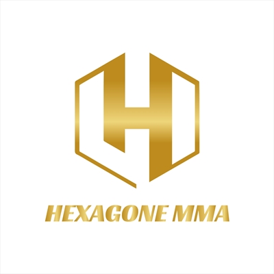 HMMA 10 - Hexagone MMA