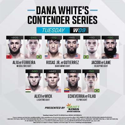 Dana White's Contender Series - Contender Series 2022: Week 9