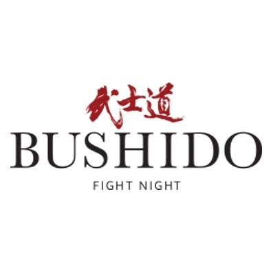 BFN 3 - Bushido Fight Night 3