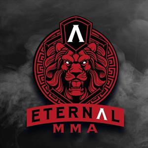 EMMA - Eternal MMA 29