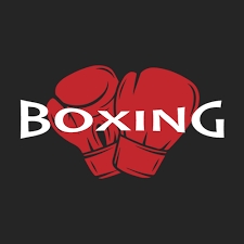 Boxing - Ngannou vs. Joshua