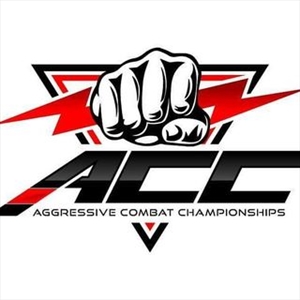 ACC - Aggressive Combat 18