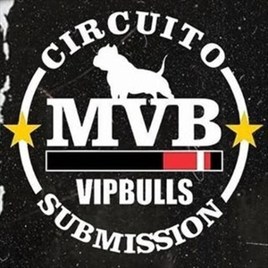 Circuito MVB - 3.0