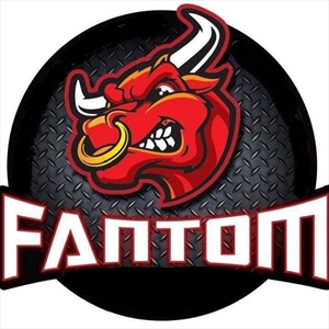 Fantom - Bull Fight 1