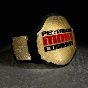 PC - Pentagon Combat 21