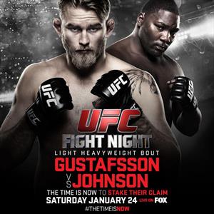 UFC on Fox 14 - Gustafsson vs. Johnson