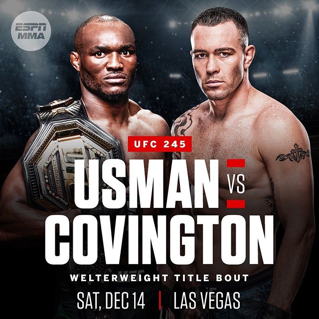 UFC 245 Poster September 30, 2019