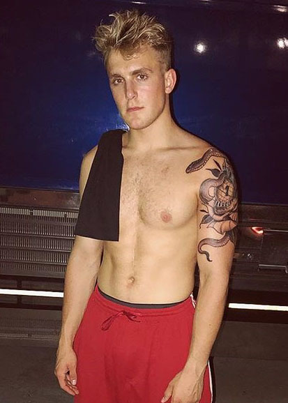 Jake Paul Record Fights Profile Mma Fighter