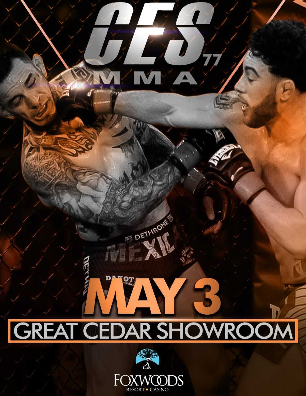 CES MMA 77 Poster March 25, 2024