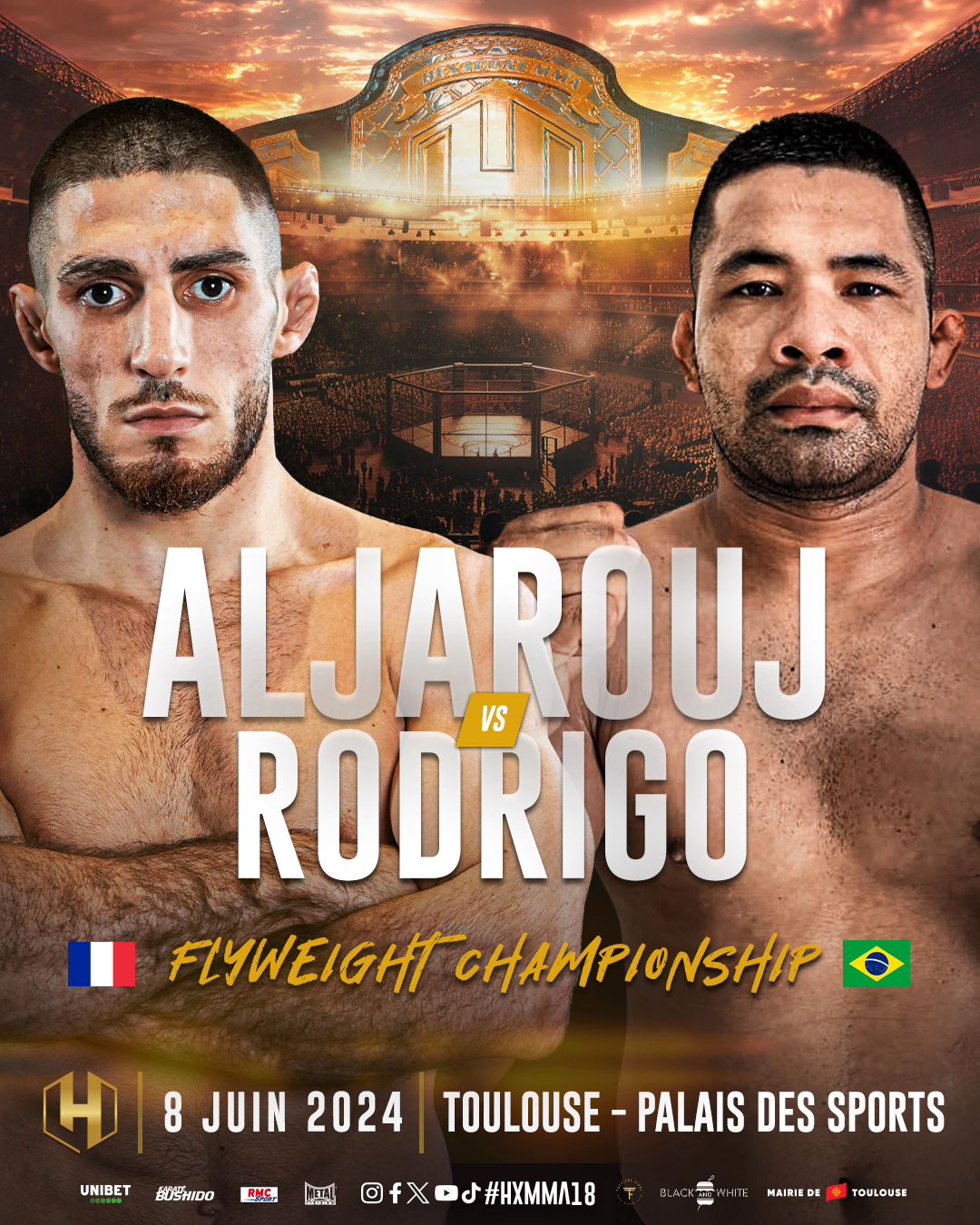 HMMA 18 Poster June 03, 2024