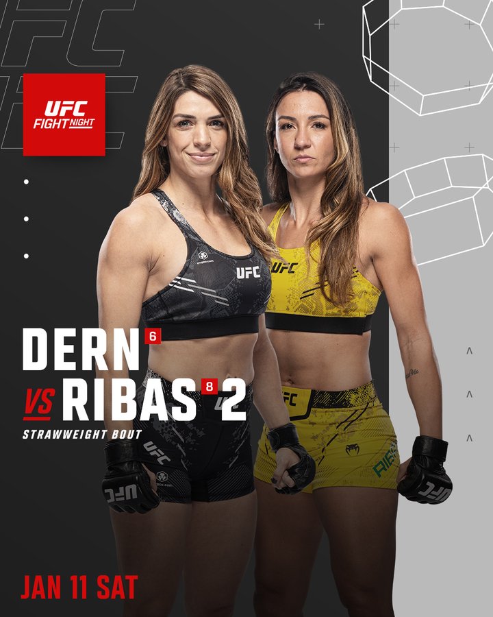 UFC Fight Night 249 Poster December 13, 2024