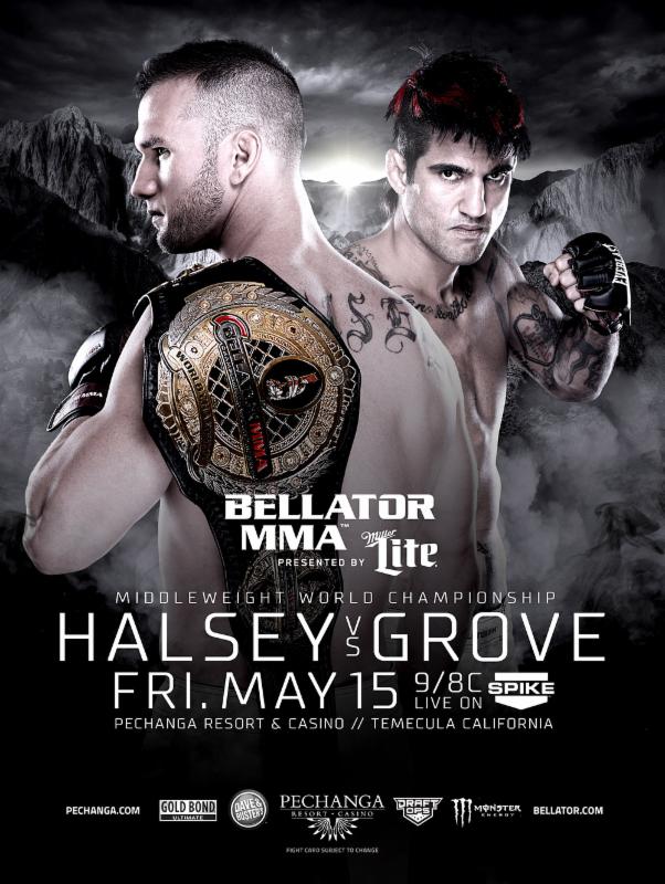 Bellator 137 - Halsey vs. Grove Poster April 27, 2015
