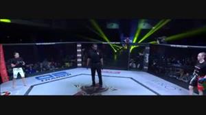 Jamie Moyle vs J.J. Aldrich Invicta FC 11 Full Fight