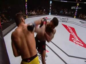 Vicente Luque vs Niko Price Full Fight UFC Fight Night 119 ...