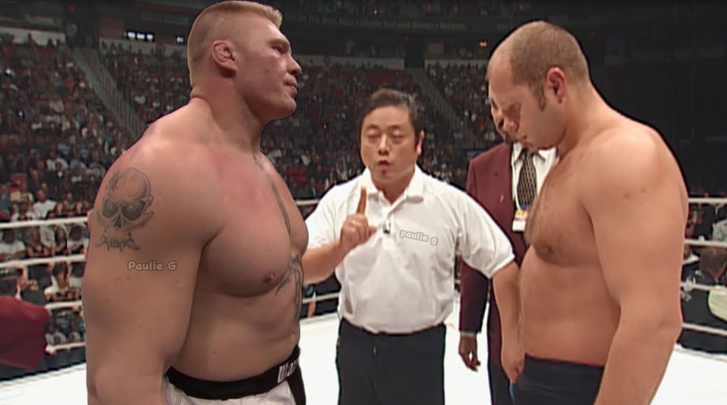 Brock Lesnar vs Fedor Emelianenko MEGAFIGHT!!! MMA Video