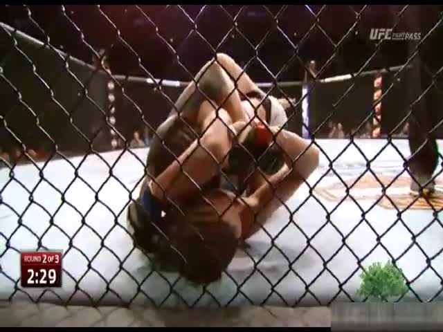 Jessamyn Duke vs Elizabeth Phillips UFC on Fox 16 [2] Full Fight MM...