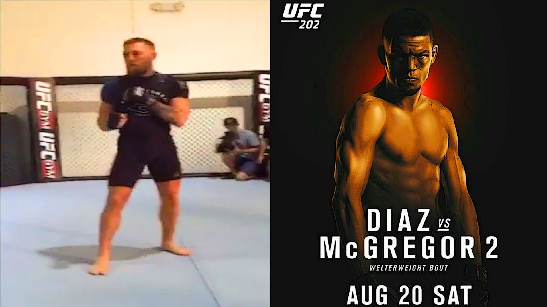 Conor McGregor In Shape At UFC 202 Workout; TJ Dillashaw Striking;1920 x 1080