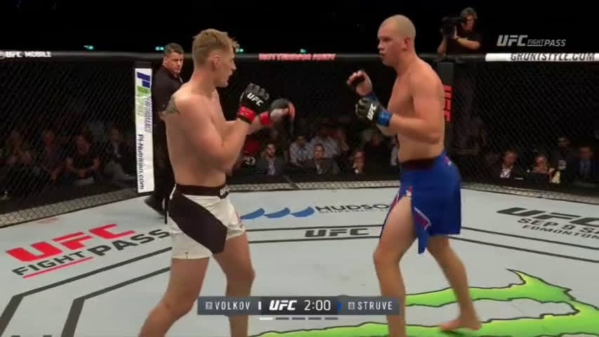 Stefan Struve vs Alexander Volkov Full Fight UFC Fight Night 115 Pa...