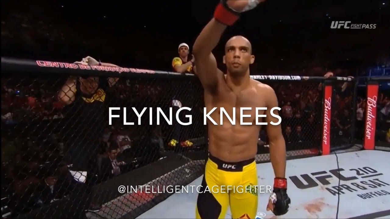Flying knees MMA Video